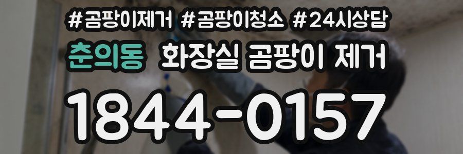 춘의동 화장실 곰팡이 제거