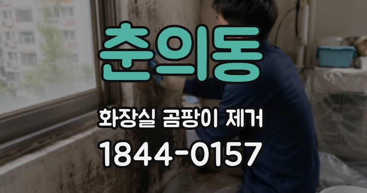 춘의동 화장실 곰팡이 제거