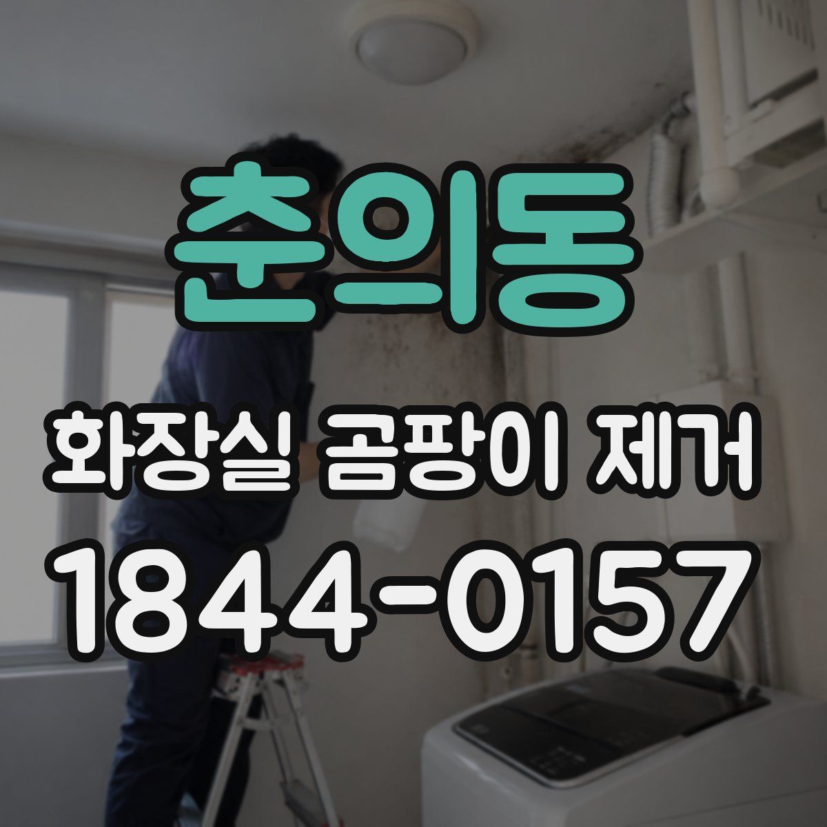춘의동 화장실 곰팡이 제거