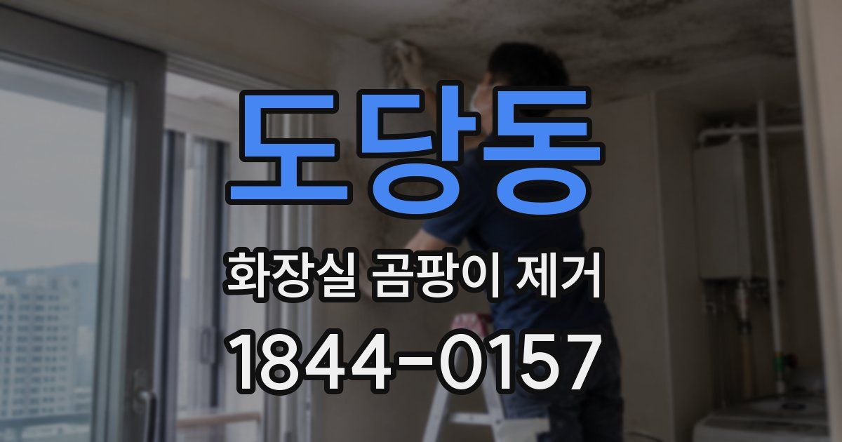 도당동 화장실 곰팡이 제거