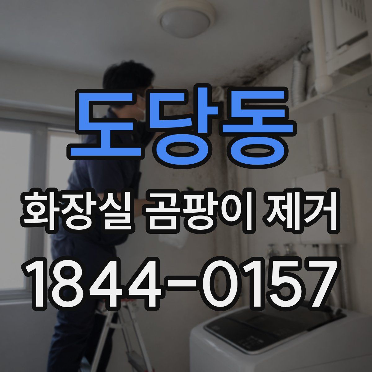 도당동 화장실 곰팡이 제거