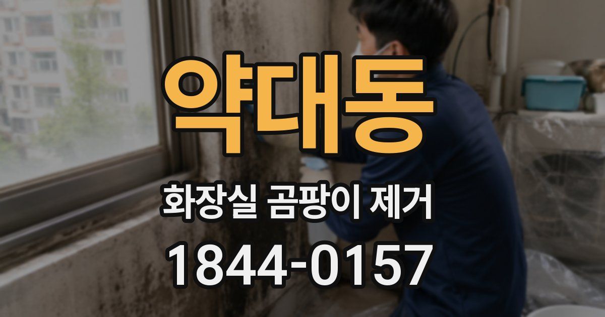 약대동 화장실 곰팡이 제거