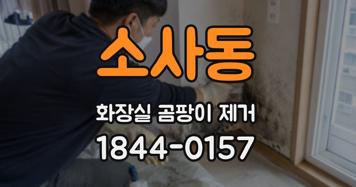 소사동 화장실 곰팡이 제거