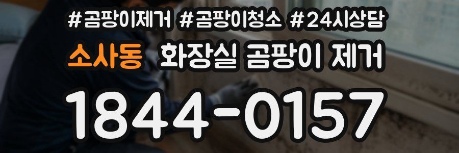 소사동 화장실 곰팡이 제거