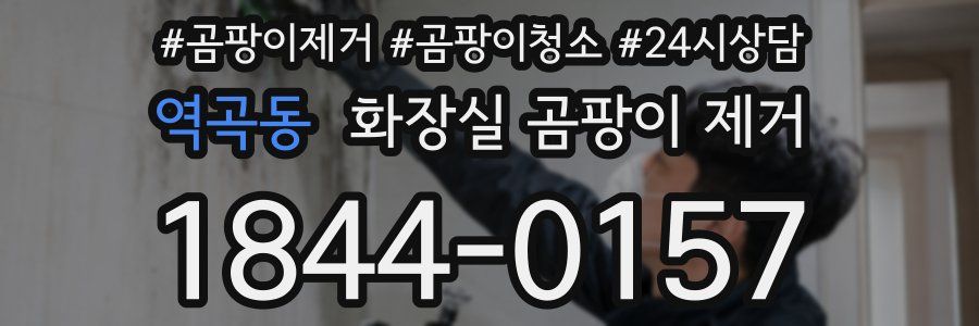 역곡동 화장실 곰팡이 제거