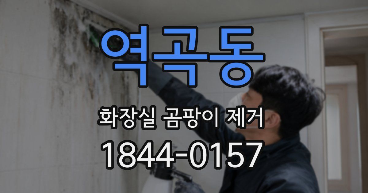 역곡동 화장실 곰팡이 제거