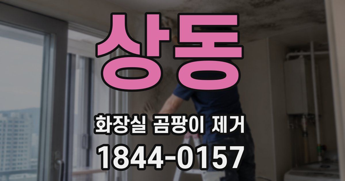 상동 화장실 곰팡이 제거