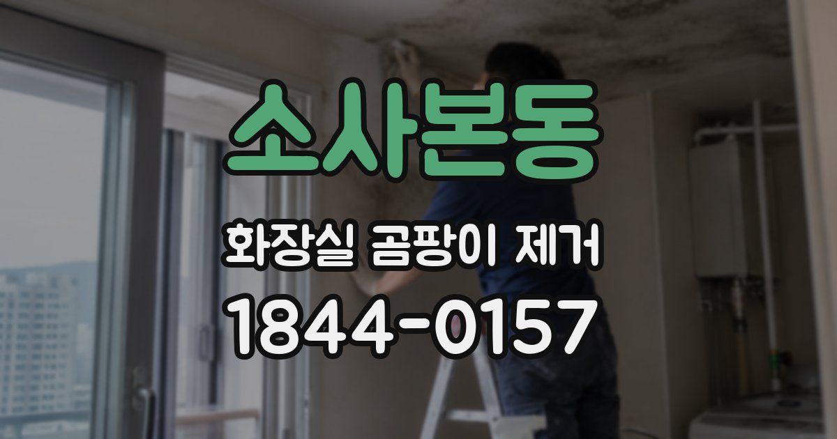 소사본동 화장실 곰팡이 제거