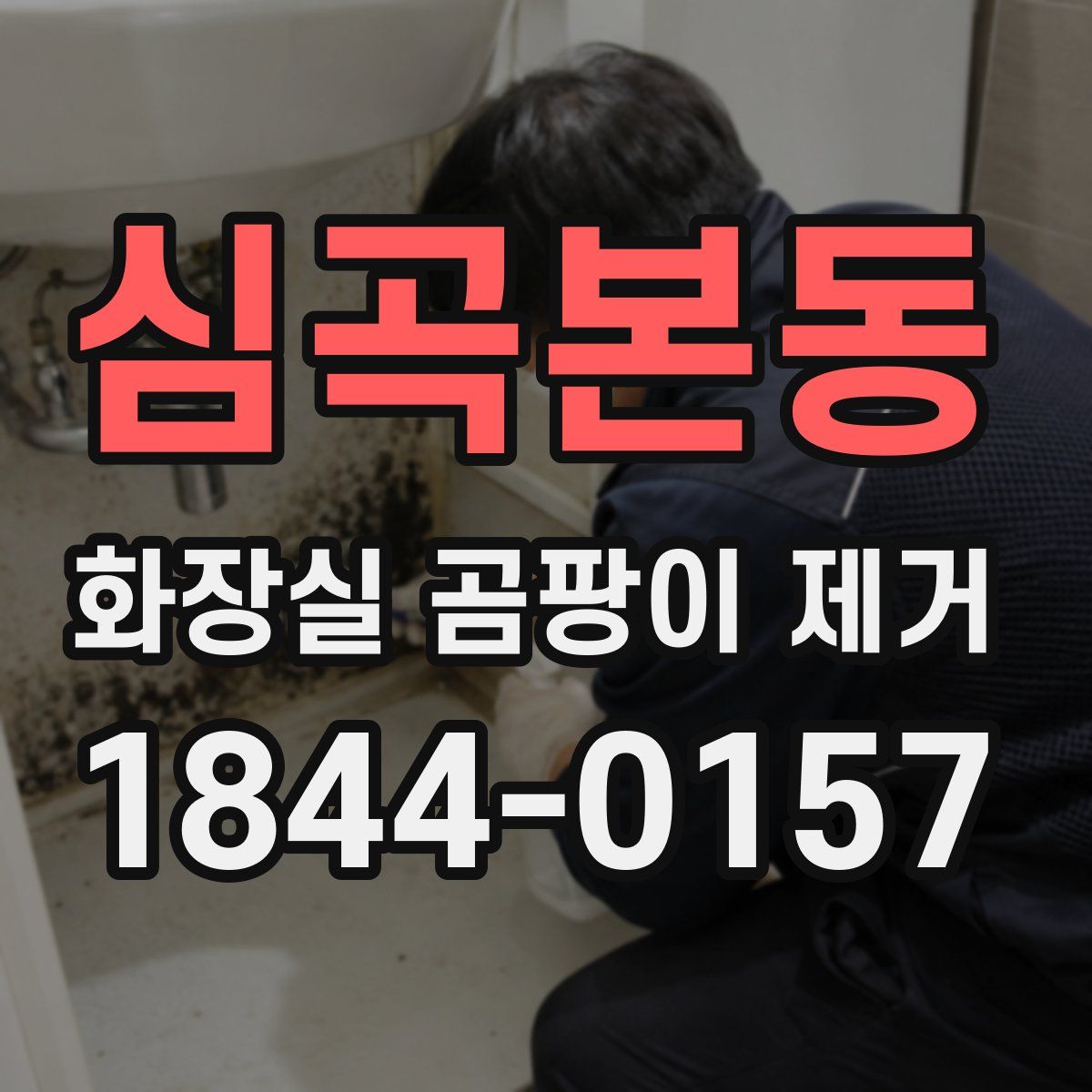 심곡본동 화장실 곰팡이 제거