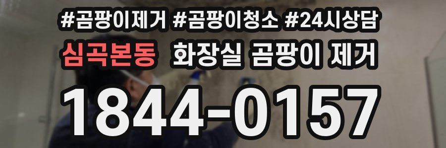 심곡본동 화장실 곰팡이 제거