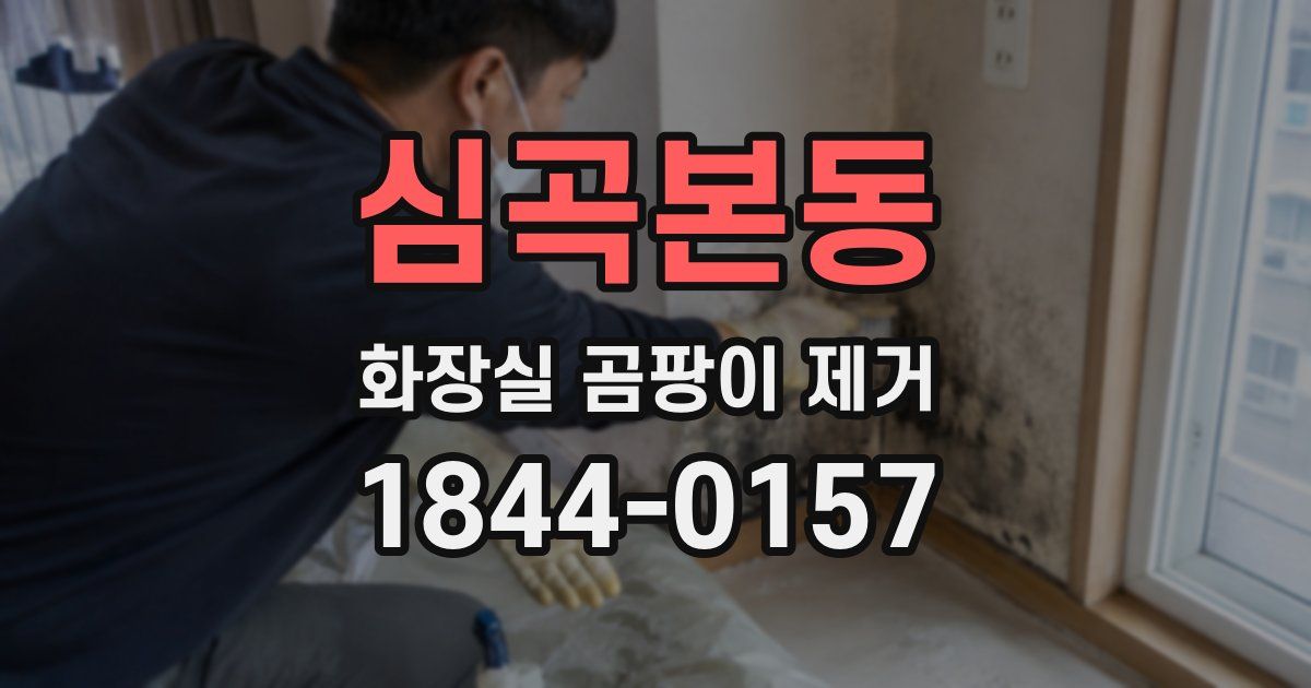 심곡본동 화장실 곰팡이 제거