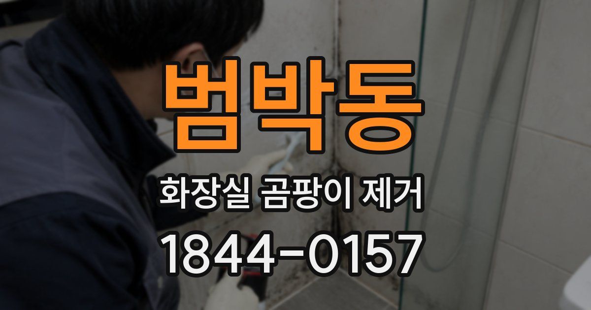 범박동 화장실 곰팡이 제거