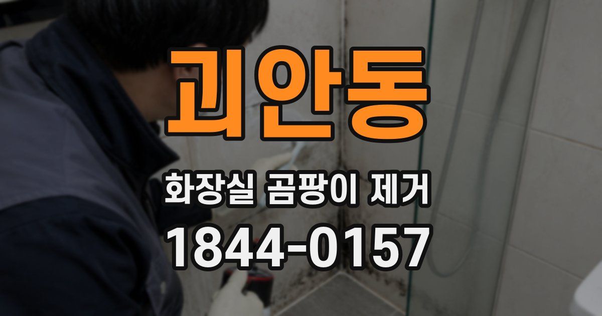 괴안동 화장실 곰팡이 제거