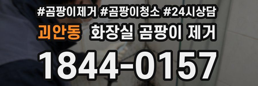 괴안동 화장실 곰팡이 제거