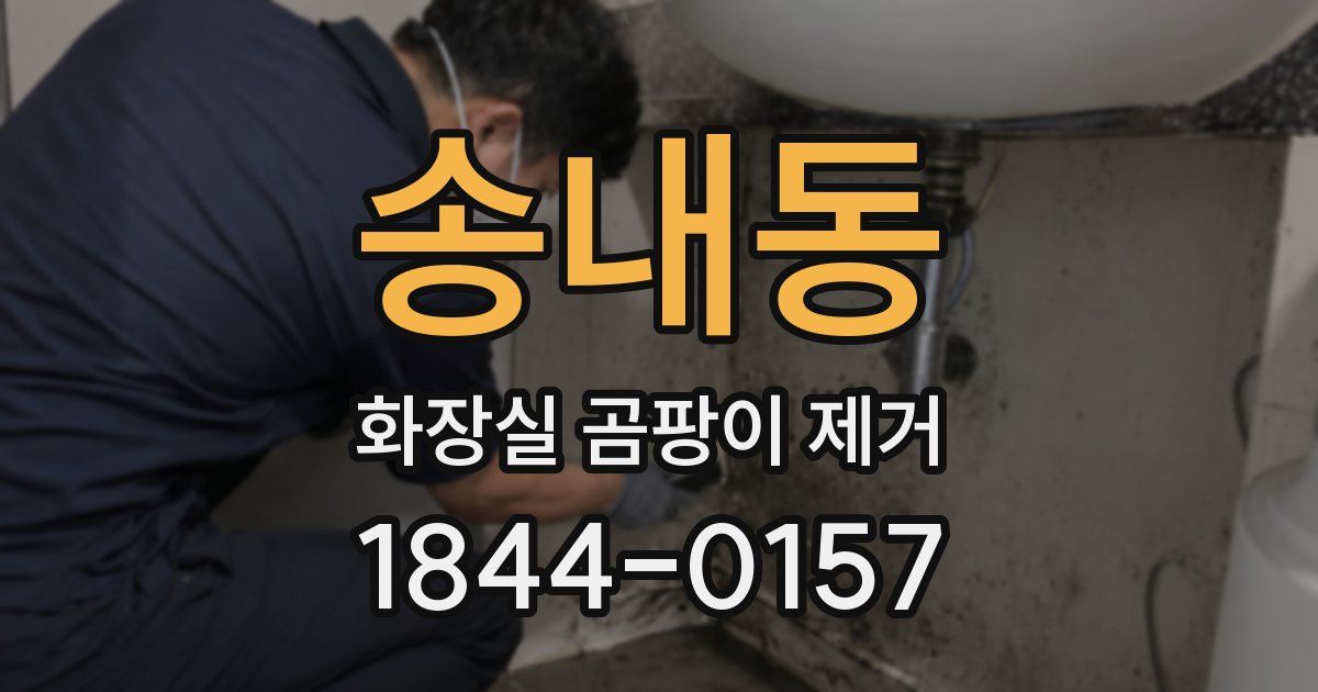 송내동 화장실 곰팡이 제거