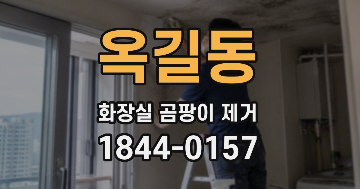 옥길동 화장실 곰팡이 제거