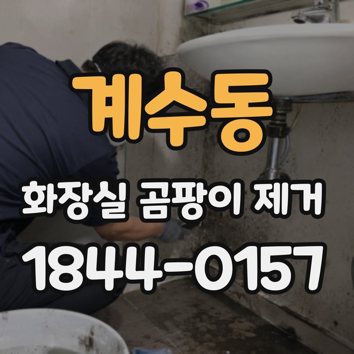계수동 화장실 곰팡이 제거 청소 후 건조가 중요한 이유와 방법