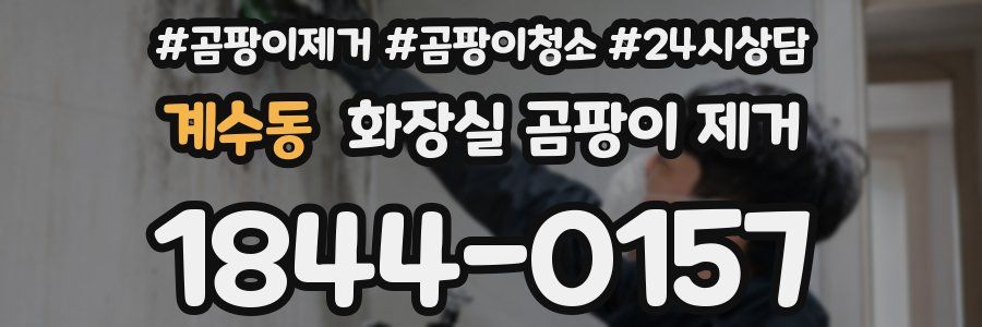 계수동 화장실 곰팡이 제거