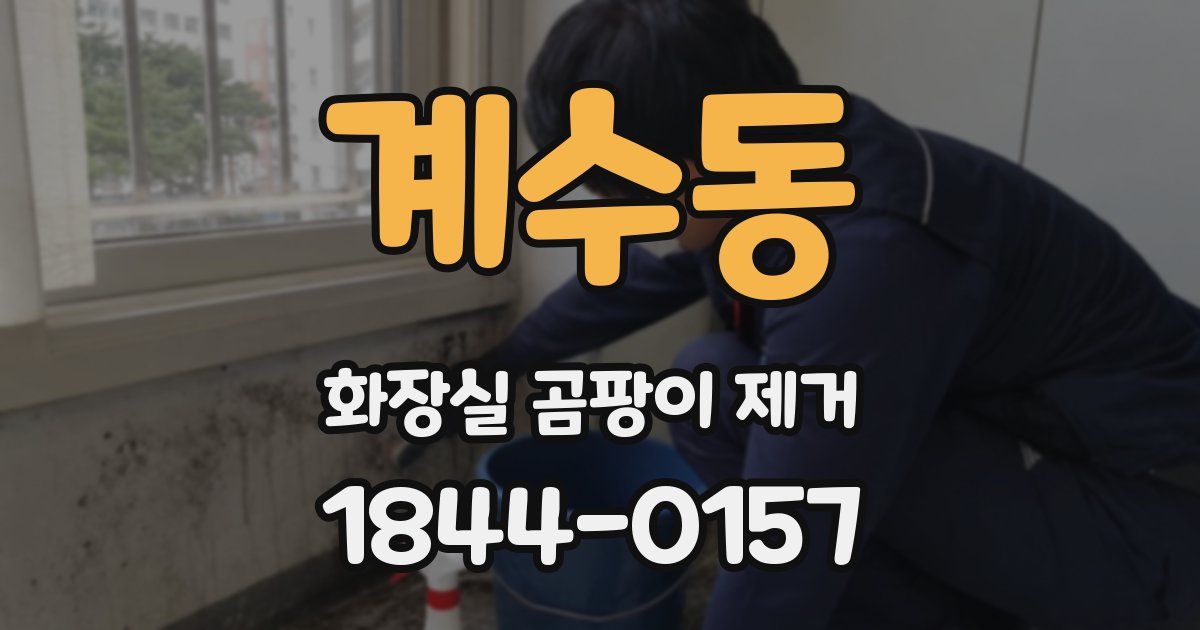 계수동 화장실 곰팡이 제거