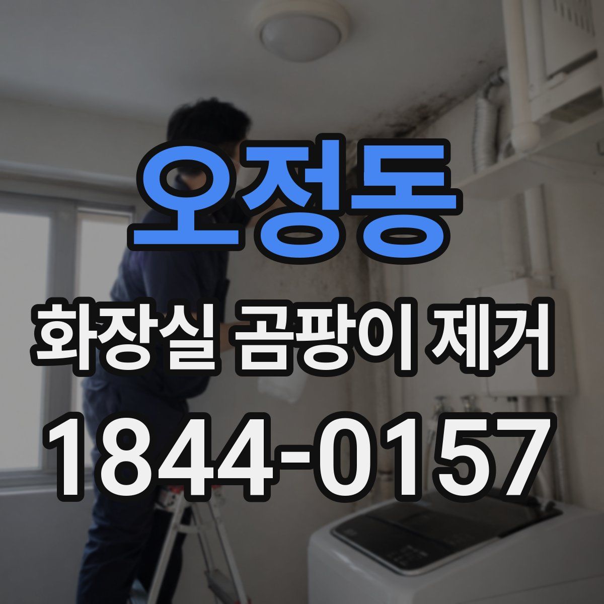 오정동 화장실 곰팡이 제거