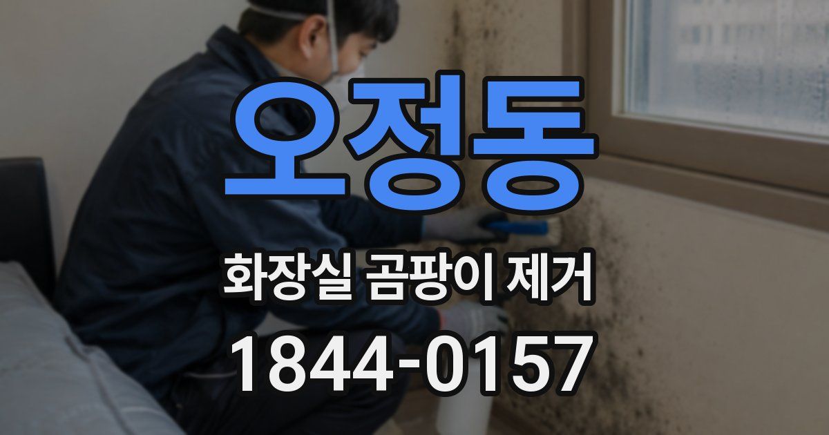 오정동 화장실 곰팡이 제거