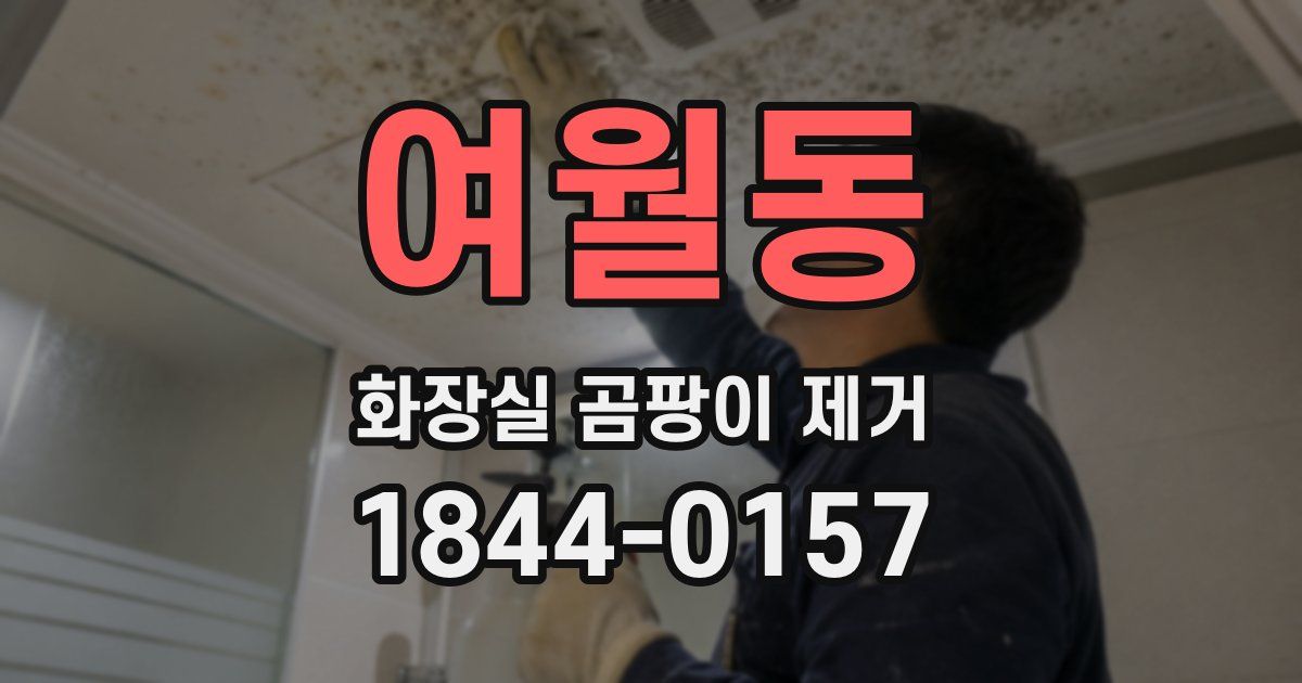 여월동 화장실 곰팡이 제거