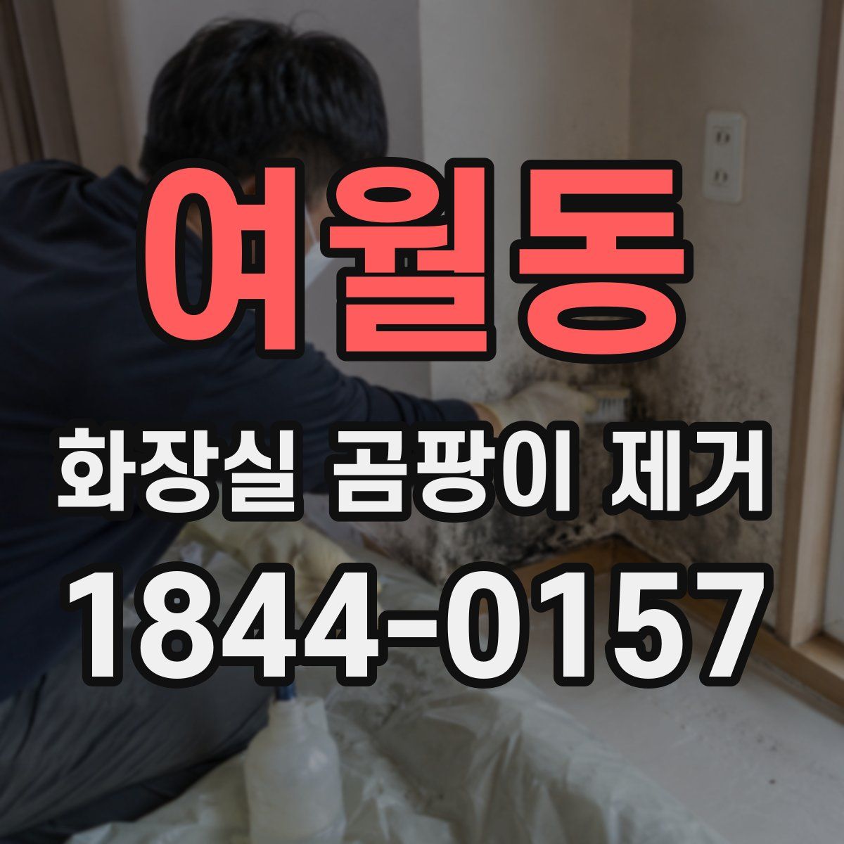 여월동 화장실 곰팡이 제거