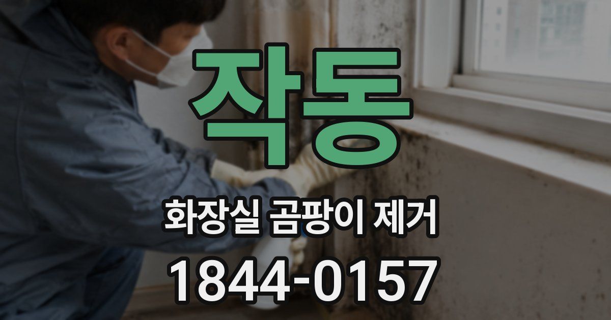 작동 화장실 곰팡이 제거