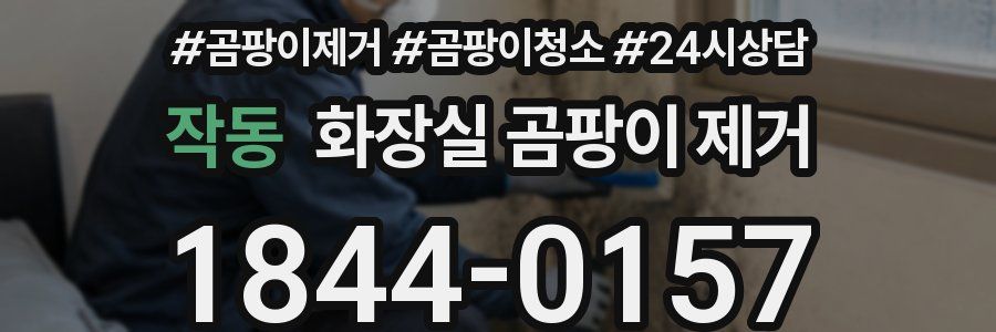 작동 화장실 곰팡이 제거