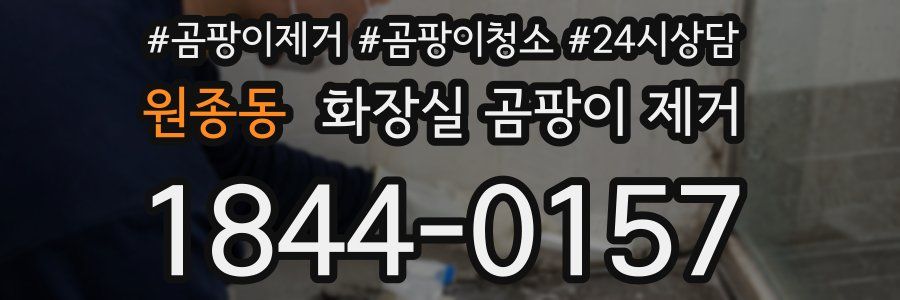 원종동 화장실 곰팡이 제거
