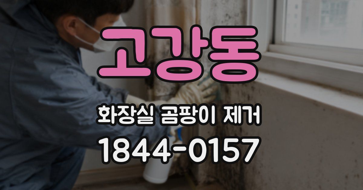 고강동 화장실 곰팡이 제거
