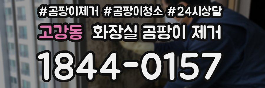 고강동 화장실 곰팡이 제거
