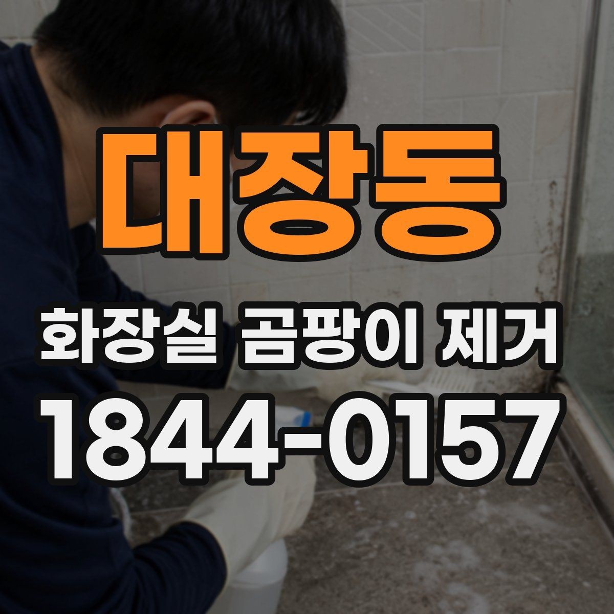 대장동 화장실 곰팡이 제거 전후로 달라지는 건조 습관