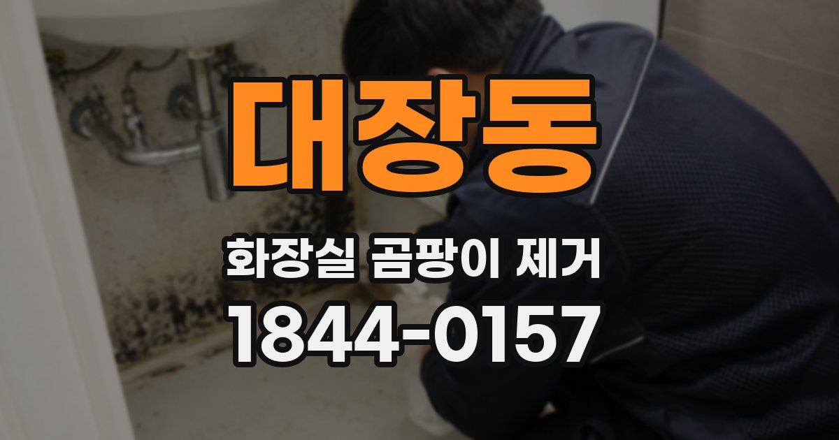 대장동 화장실 곰팡이 제거