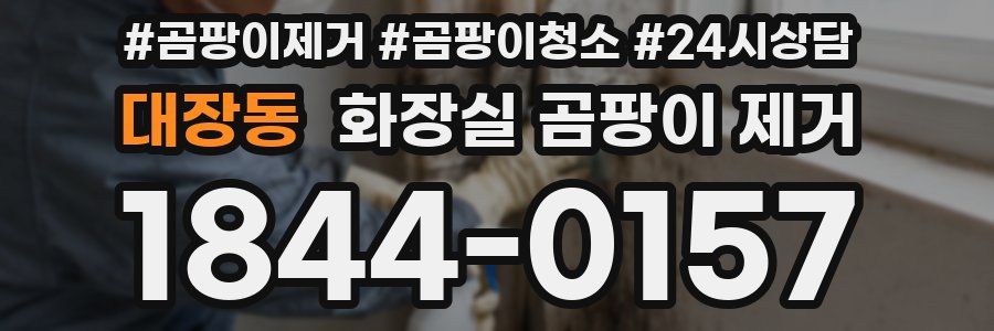 대장동 화장실 곰팡이 제거
