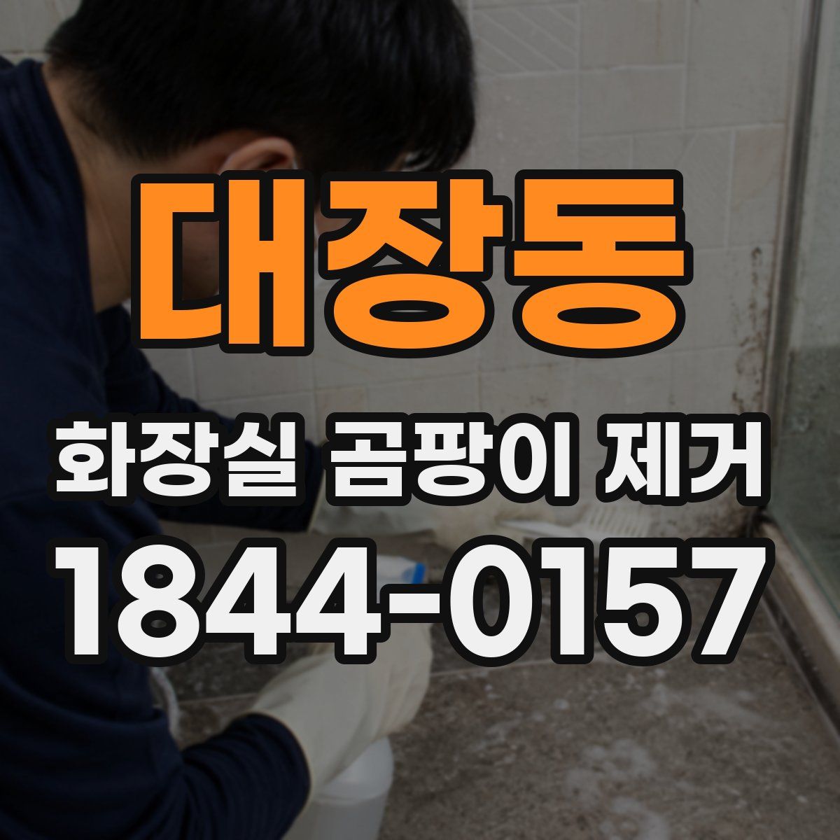 대장동 화장실 곰팡이 제거