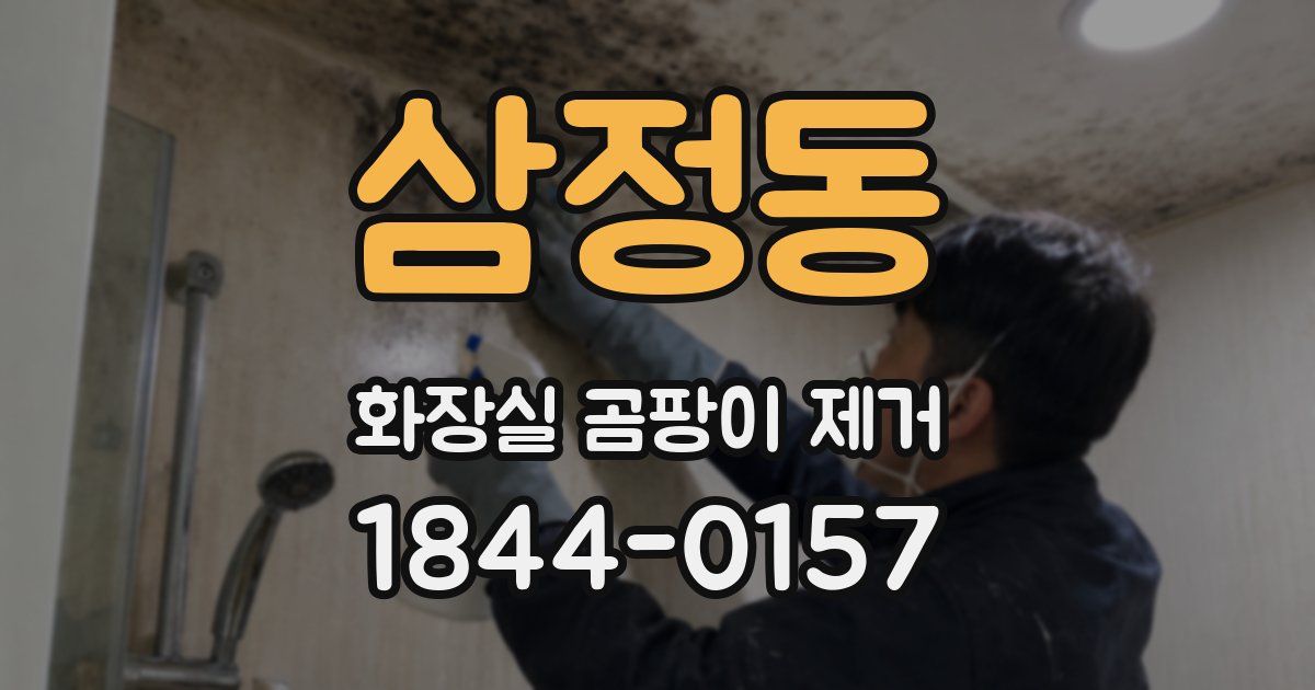삼정동 화장실 곰팡이 제거