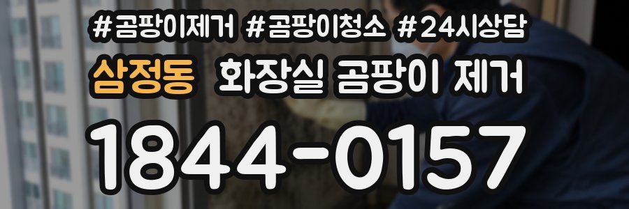 삼정동 화장실 곰팡이 제거