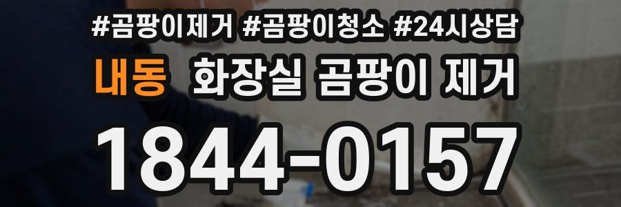 내동 화장실 곰팡이 제거