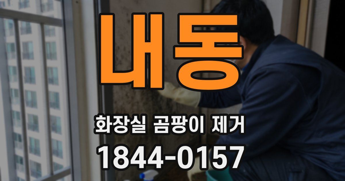 내동 화장실 곰팡이 제거