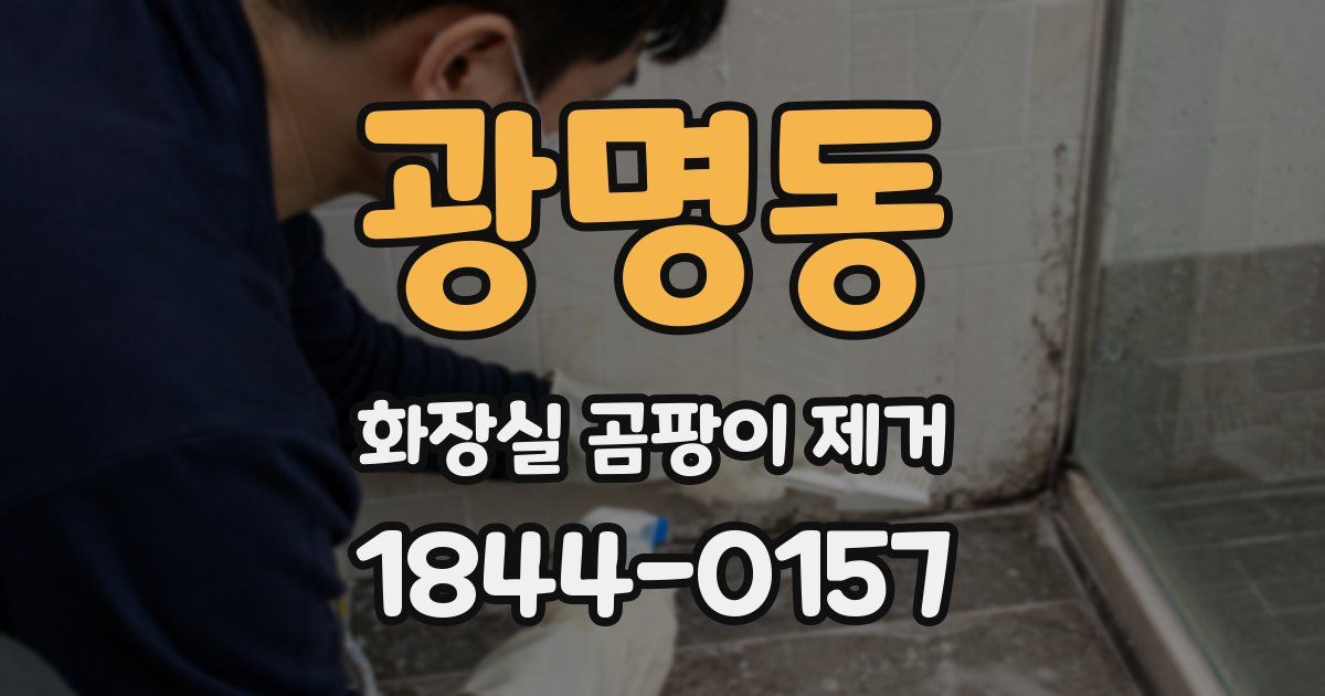 광명동 화장실 곰팡이 제거