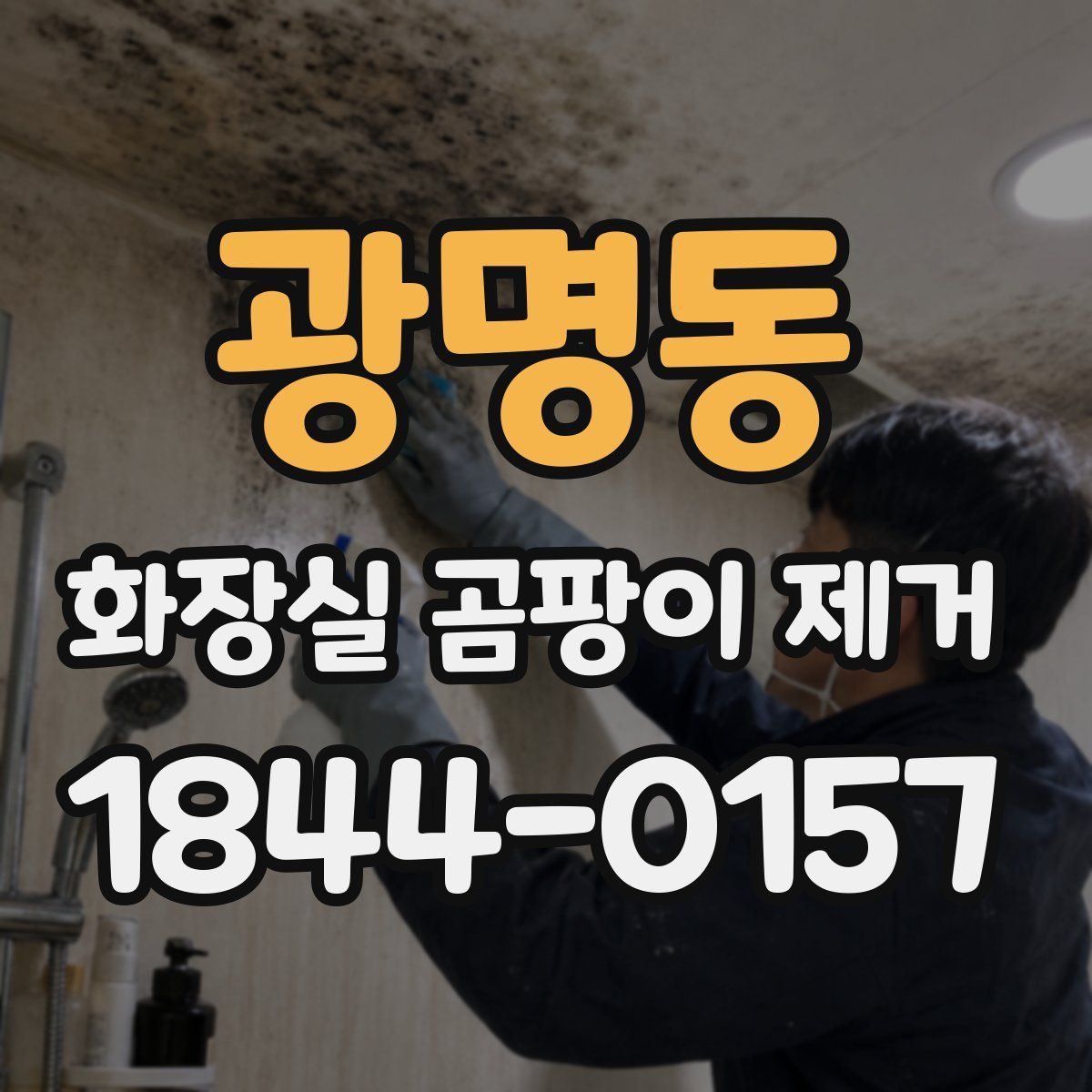 광명동 화장실 곰팡이 제거