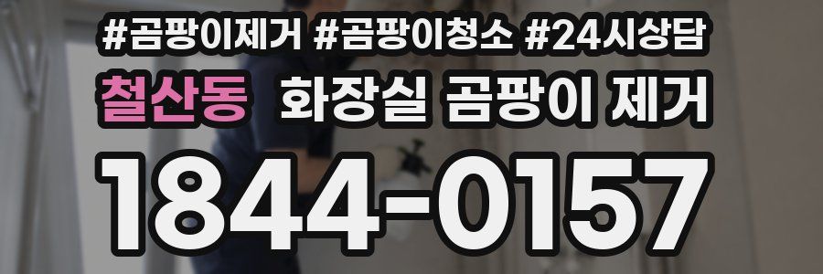 철산동 화장실 곰팡이 제거