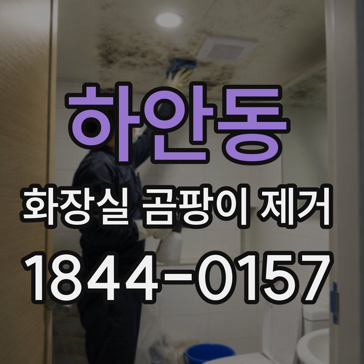 하안동 화장실 곰팡이 제거