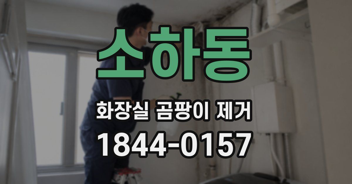 소하동 화장실 곰팡이 제거