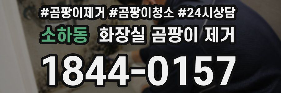 소하동 화장실 곰팡이 제거