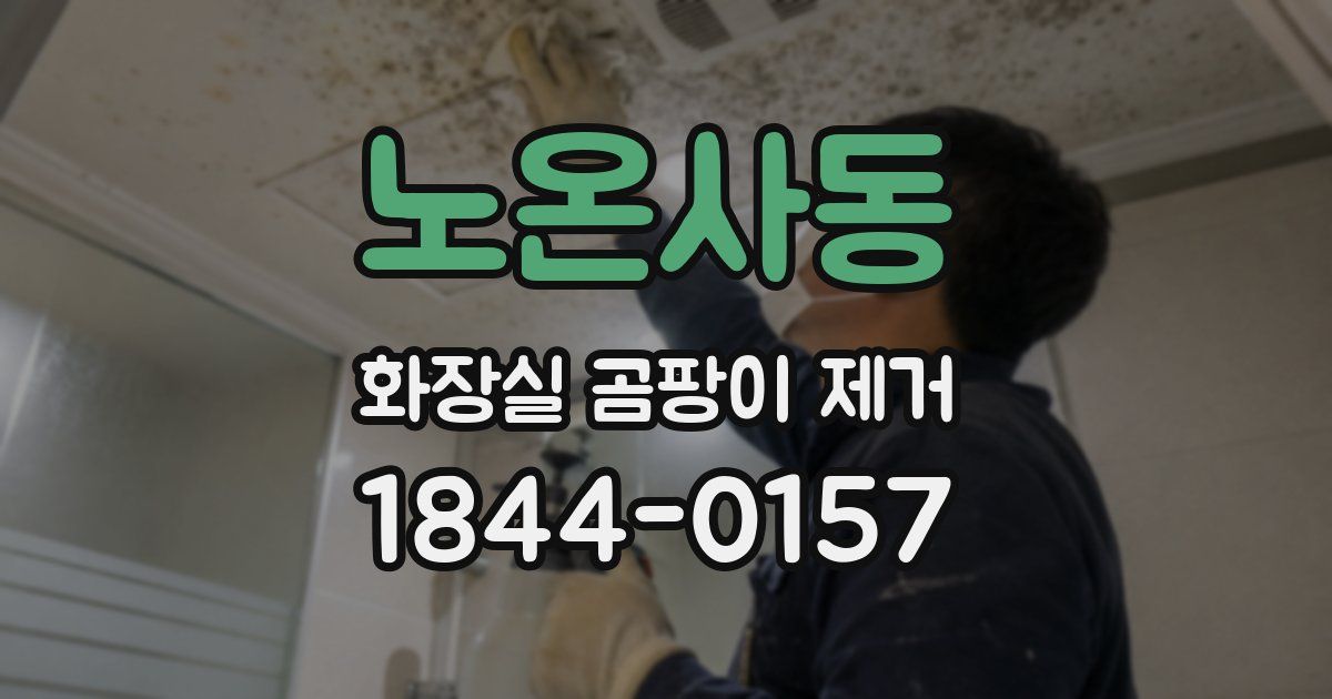 노온사동 화장실 곰팡이 제거