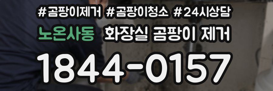 노온사동 화장실 곰팡이 제거