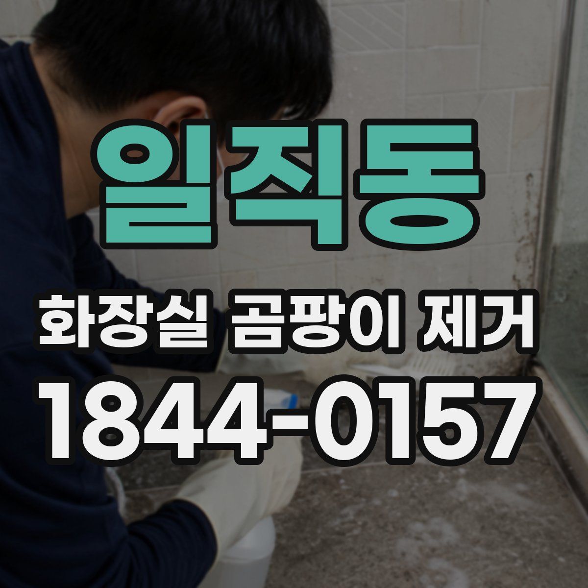 일직동 화장실 곰팡이 제거