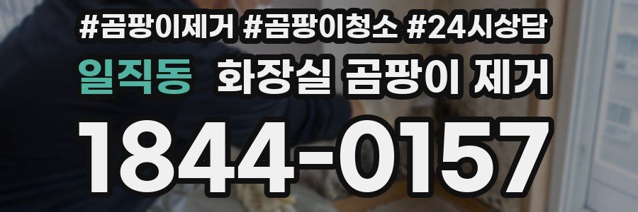 일직동 화장실 곰팡이 제거